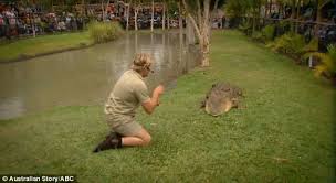 On september 4, 2006, steve irwin was fatally attacked by a stingray while filming a documentary off the coast of australia. Steve Irwin S Father Reveals Devastation Over Broken Pact Of Silence Daily Mail Online