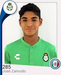 Página Oficial de la Liga Mexicana del Fútbol Profesional