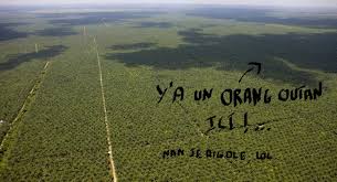 We did not find results for: L Huile De Palme Un Ingredient Presque Pas Comme Les Autres Le Club De Mediapart