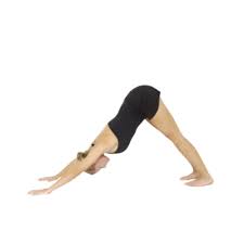 Pin On Yoga Exercises