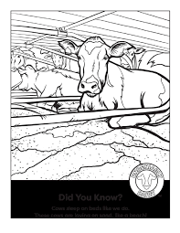 Also check out our other animal coloring pages with a variety of drawings to print and paint. Dairy Realistic Dairy Cow Coloring Pages Novocom Top
