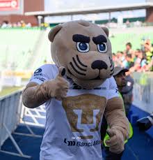 Descubre la mejor forma de comprar online. Buy Pumas Unam Mascota Cheap Online