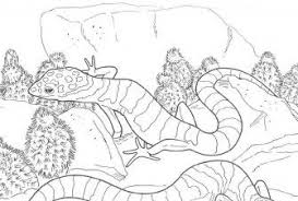 Here's a set of free printable alphabet letter images for you to download and print. Free Leopard Gecko Coloring Pages High Quality Coloring Pages