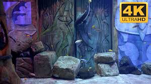 Relaxing Aquarium Screensaver For Tv Or Pc In 4k Or Hd Aquarium Videos Aquarium Screensaver Aquarium