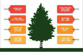 The normal expense to trim a tree goes somewhere in the range of $70 and $1100, contingent upon a wide assortment of it's nothing unexpected that bigger trees normally cost more to trim than littler trees. Tree Removal Cost Average Tree Trimming Cut Down Tree