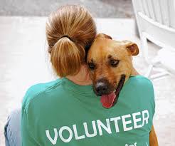 Anson County Animal Shelter is in need of volunteers, donations,  transporters, fosters & adopters! Friends of Anson County Animal Shelter