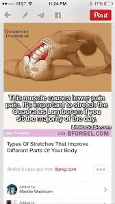 Food Like Your Money Should Be Working For You Yoga For Flexibility Yoga Anatomy Yoga Benefits Yoga Postures
