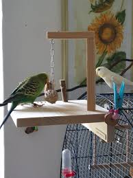 Der niedliche, im stil eines chinesischen teehauses gestaltete vogelkäfig hat nicht einmal ansatzweise etwas mit artgerechter. Vogelbrunnen Gym Der Fitness Spielplatz