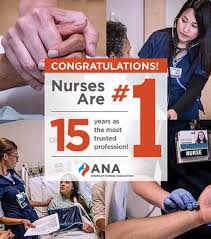 ExEcUTIVE DIREcTOR'S REpORT