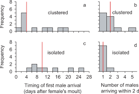 Den svarte enke har en tendens til at leve i varme vejrklima. Black Widows As Plastic Wallflowers Female Choosiness Increases With Indicators Of High Mate Availability In A Natural Population Scientific Reports