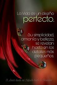 Pin De Roseblack En El Amor Desde Mi Infinito Hasta Tu Eternidad Eternidad Reflexiones Bellas Frases