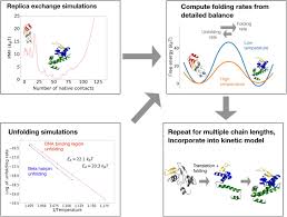 The high mutation rate means that they can rapidly evolve resistance to new drugs. Co Translational Folding Allows Misfolding Prone Proteins To Circumvent Deep Kinetic Traps Biorxiv