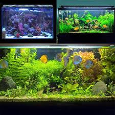 Nicrew 30w reef led aquarium light, dimmable marine led light with dual channel wired controller, nano fish tank light for saltwater coral fish tanks 4.6 out of 5 stars 159 $59.99 $ 59. Joyhill Full Spectrum Aquarium Lights 48inch Fish Tank Light With Extendable Brackets White Blue Red Green Leds For Freshwater Plants Fish Tank Fit 116cm 136cm 46 54 Inch Pricepulse