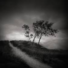 Black And White Landscape Photos For Sale Mae Curates Photography Black And White Series Nature Landscape Photography Contemporary Art Photography Black And White Landscape