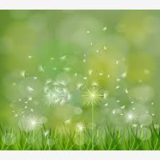 dandelion flower field over blue sky dandelion green hello spring png and vector with transparent background for free download watercolor flower illustration dandelion flower flower painting