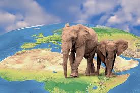 Historical Elephant Transport ...