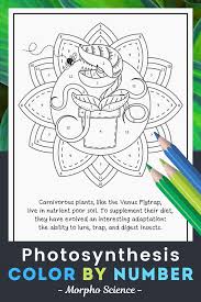 Photosynthesis Color By Number Science Color By Number Distance Learning Photosynthesis Middle School Science Experiments Interactive Science Notebook