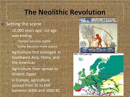 The domestication of plants and animals was a major cultural innovation ranked in importance with the conquest of fire, the manufacturing of. History Of Neolithic Revolution Economic Consultants Com
