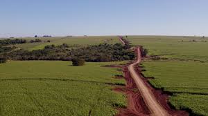 Swiss Re profits in Brazil from insurance on illegally deforested lands