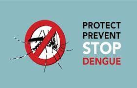 Papaya leaves are a rich source of vitamin c and antioxidants that help boost. Preventing Dengue In Sri Lanka