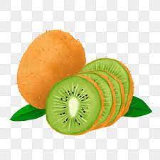 Kiwi Kiwi Vitamin C Fresh Fruit Png Kiwi Ice Cream Fruit Png Transparent Clipart Image And Psd File For Free Download Kiwi Vitamins Fruit Logo Fruit Picture