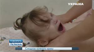 197,078 likes · 17,957 talking about this. Sindrom Koshachego Krika Polnyj Vypusk Govorit Video Vkontakte