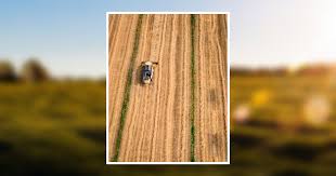 Dennis Erickson Obituary June 26, 2022