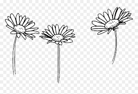 Snow tree stock photography, winter snowy tree , white tree illustration png clipart. Amazing Flower Tumblr Castrophotos Clipart Png Download Cute Black And White Drawings Transparent Png Vhv