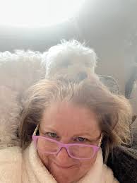 Maltipoo sleeping habits and preferences