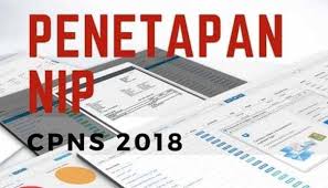 Progres penetapan nip cpns tahun anggaran 2019 sumber : Update Pertek Nip 26 Maret 2019 537 Instansi Sudah Update Cek Daftarnya Di Sini