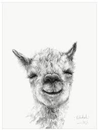 Llama Draw You A Portrait Rebekah Wall Art Llama Drawing Animal Canvas Art Llama Painting
