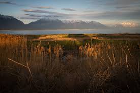 Derek Sturman Photography.