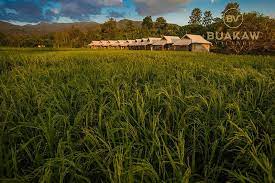 โรงแรมที่อยู่ใกล้ บัญชาเมฆยิม (บัวขาว วิลเลจ), แม่แตง: à¸š à¸§à¸‚à¸²à¸§ à¸§ à¸¥à¹€à¸¥à¸ˆ à¸Šà¸¡à¸£ à¸ªà¸­à¸£ à¸—à¸— à¸²à¸¡à¸à¸¥à¸²à¸‡à¸˜à¸£à¸£à¸¡à¸Šà¸²à¸• Chiang Mai News