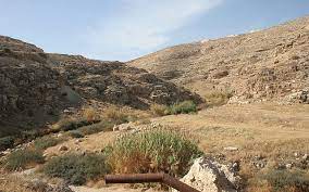 Get to know israel's special desert, the negev! Ancient Springs And Stunning Vistas A Desert Day Trip Just Outside Jerusalem The Times Of Israel