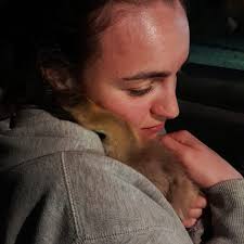 Made it to the top of Goatfell