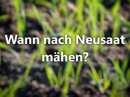 Soheila verrät paula lambert anita spricht über ihre erste liebe. Wann Das Erste Mal Nach Neusaat Rasen Mahen Ohne Rausreissen