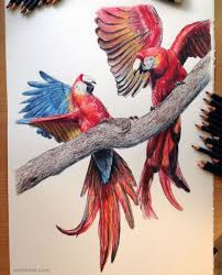 Pin On Bird