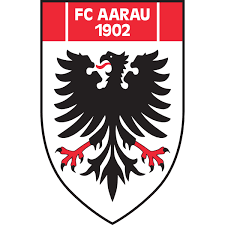 Die isi gruppe bildet fachkräfte aus. Fc Aarau Logo Download Logo Icon Png Svg
