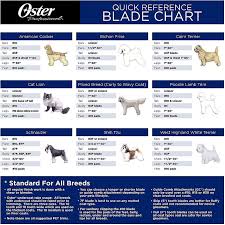 oster a5 blade for cats size 10