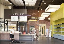 Animal Shelters Go Green Animal Shelter Animal Shelter Design Shelter Design