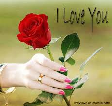 Image result for love images