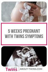 Pin On Twin Pregnancy