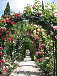 Pin On Romantic Garden