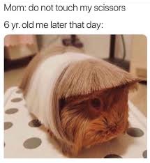 We did not find results for: Bowl Haircut 9gag