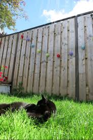 Oscillot Cat Proofing Cat Fence Cat Garden