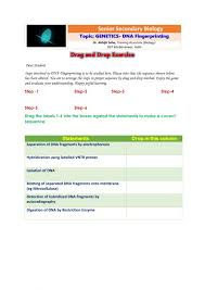A dna ladder made up of fragments of dna of known lengths, which serve as size center and right: Senior Secondary Biology Genetics Dna Fingerprinting Worksheet