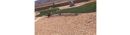 Envisioned by the vanguards of architecture and design, and led by those who dare to transform. Lg Landscaping Llc Santa Clara Area Alignable