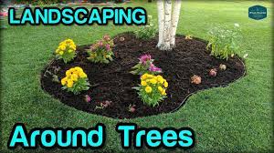 Landscaping Edging Mulching Around Trees Youtube Landscaping Around Trees Mulch Around Tree Landscape Edging