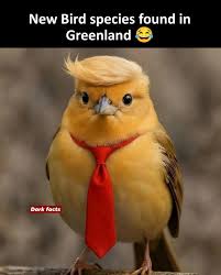 If u can tell me the name of this bird