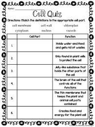 They have different organelles and perform different functions. Plant Animal Cell Quiz By Brittany Ensminger Tpt